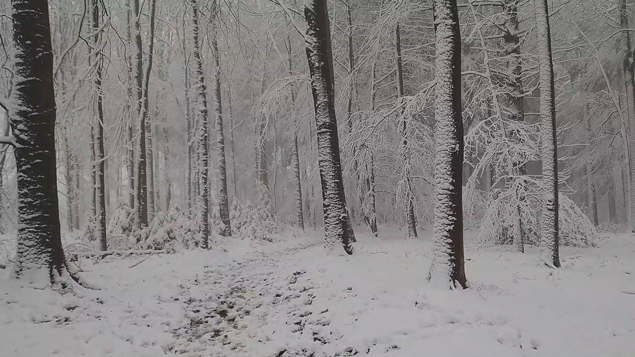 Meer dan 10 centimeter sneeuw in Zuid-Limburg!