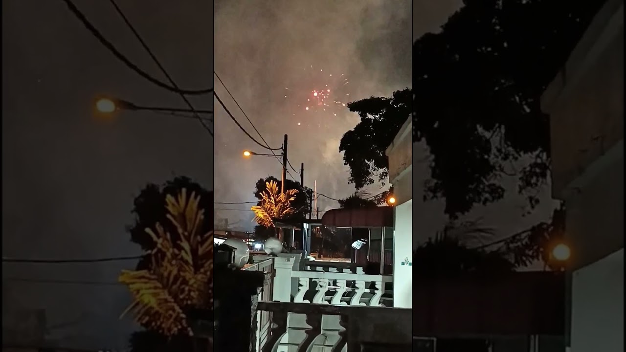 新年快乐，龙马精神26