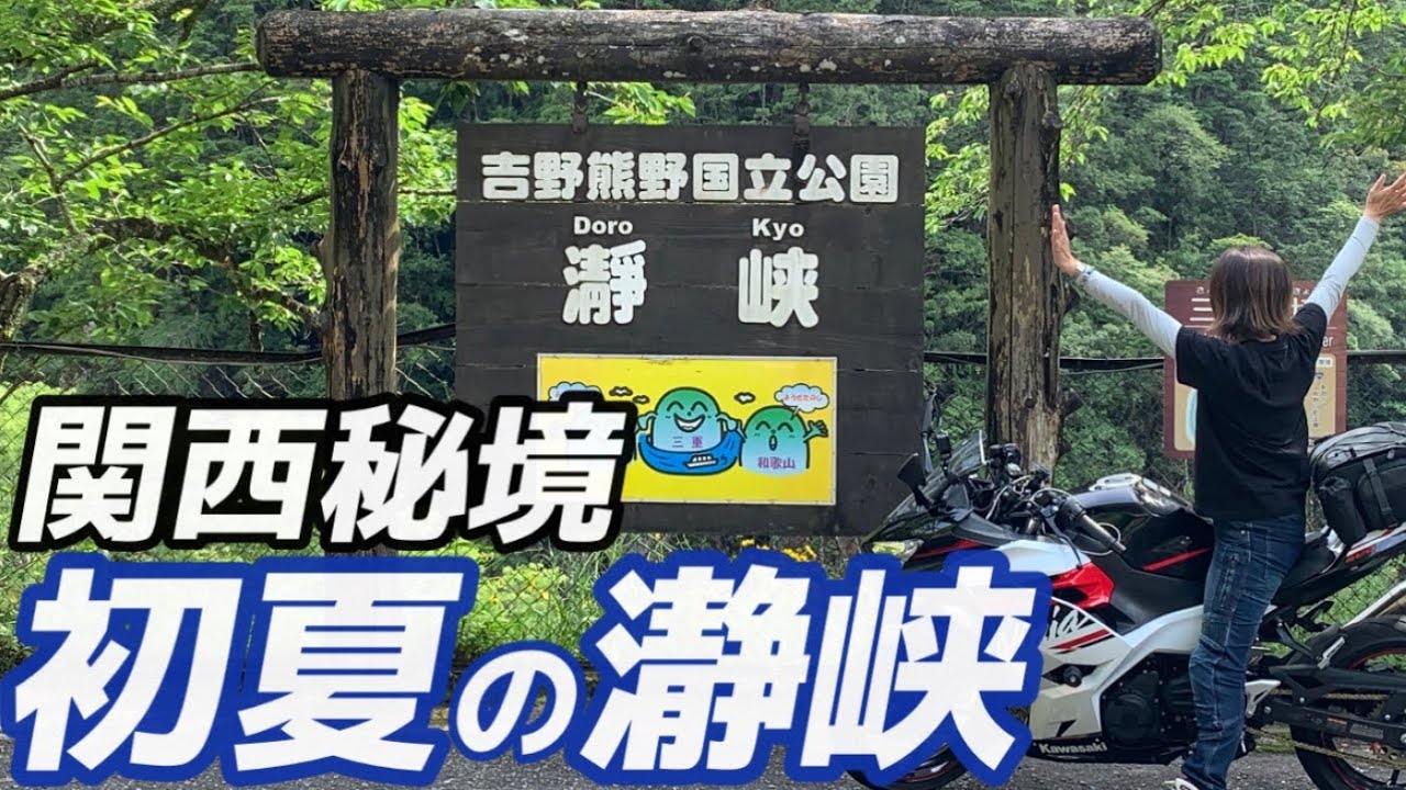 初夏に行くべき！絶景！川舟！えっ？ニホンカモシカ？