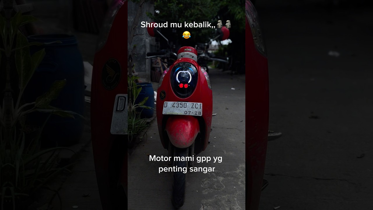 Biled plus d2 laser di scoopy 2016 #biled #scoopyfi #scoopy #d2laser