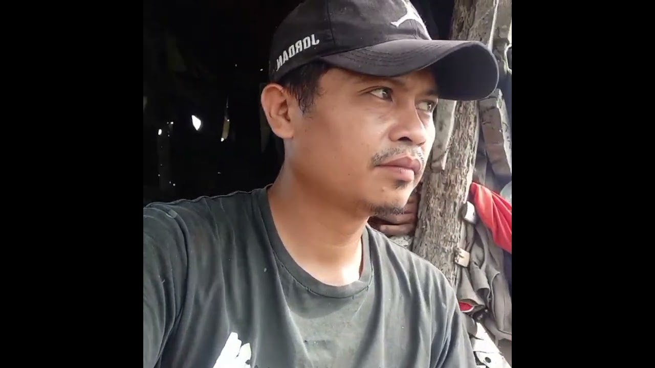 PROSES BUDIDAYA PENANAMAN TANAMAN SERAI BANGKO @samsulrijal 