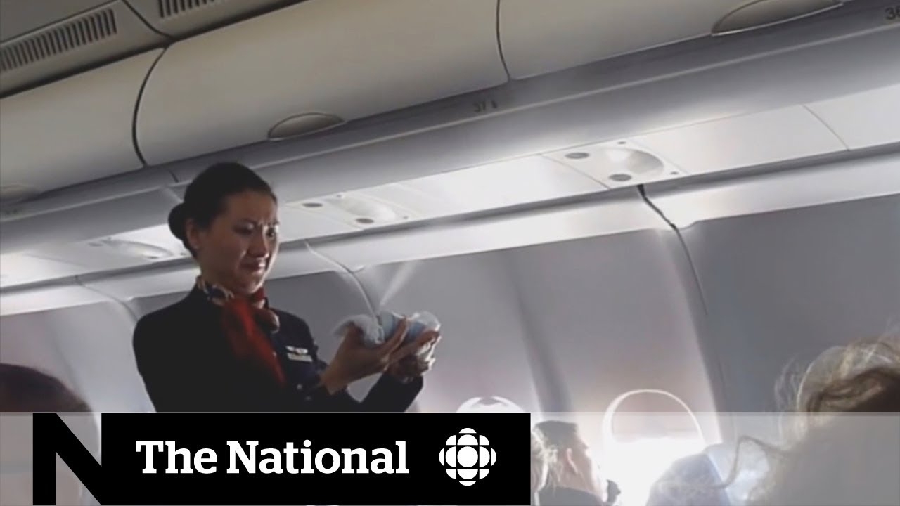 Pesticides on the plane | CBC Go Public