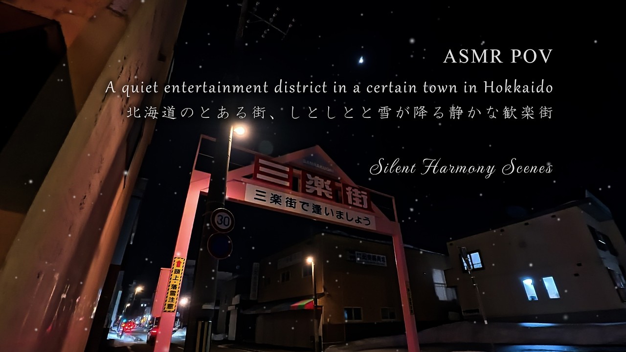 【4K ASMR】北海道のとある雪降る夜の街。静寂の歓楽街をPOVで歩く。BGMなし。リアルな環境音をお楽しみください。