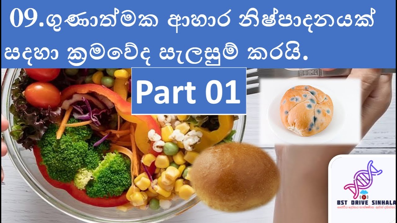 09. ආහාර පාඩම | Bio systems technology | bst lessons sinhala | bst sinhala | bst| Dushmantha pradeep