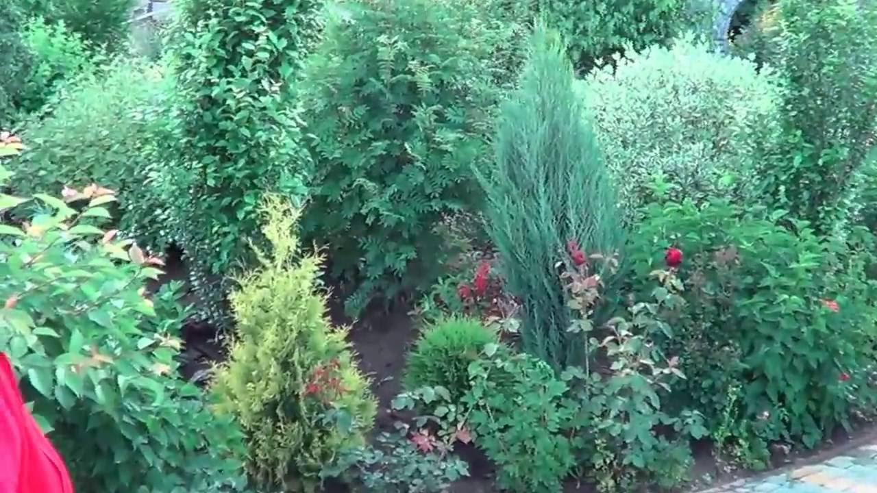 Плодовый Сад. Как Необычно Разместить Плодовый Сад. Вариант Личного Фруктового Сада