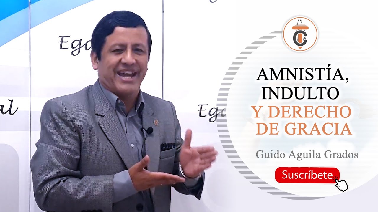 AMNISTÍA, INDULTO y DERECHO DE GRACIA - TC # 286