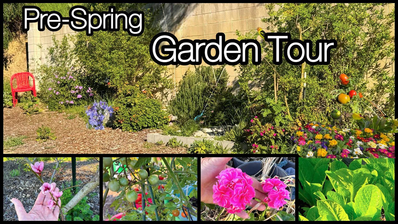 Garden Tour Growing TIPS for Any Type of Vegetable Gardening Tomatoes Peppers Herbs DIY FREE Compost