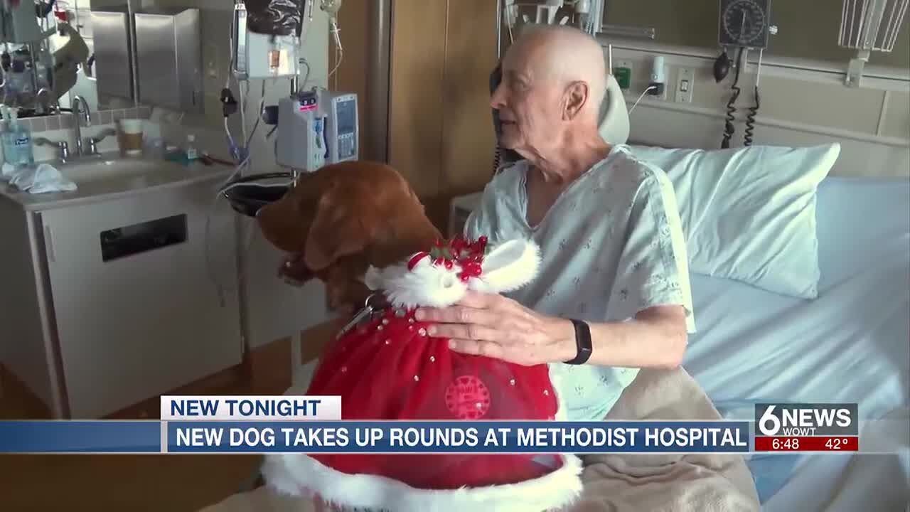 New service dog picks up legacy of old at Omaha's Methodist Hospital
