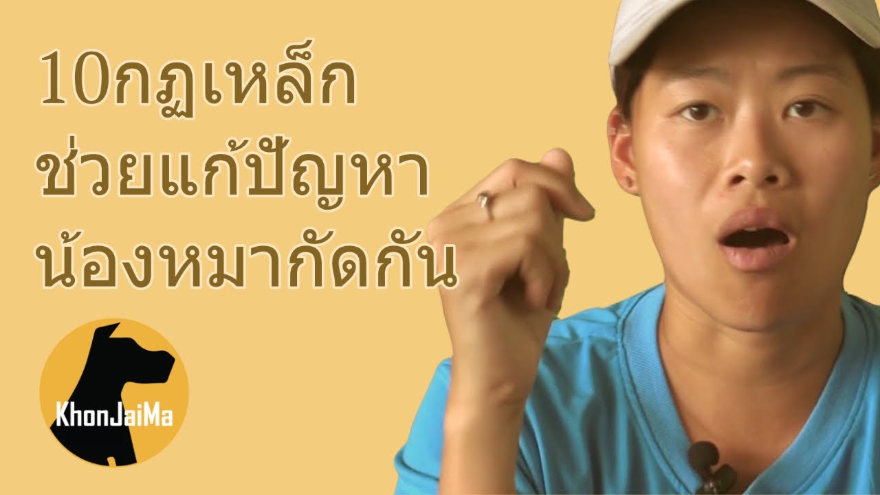 ช่วงคุยกับ Khon Jai Ma | 10กฏเหล็ก ช่วยแก้ปัญหาน้องหมากัดกัน