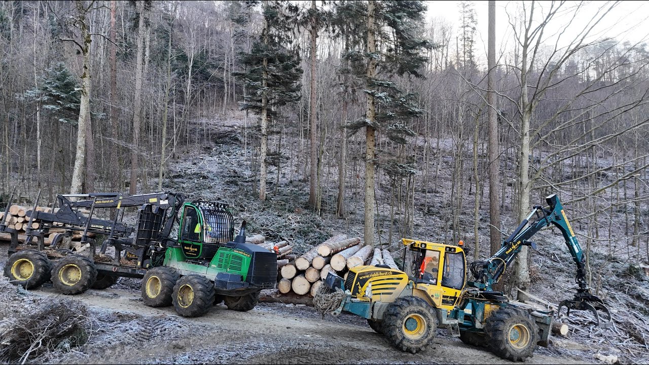 Zangenschlepper und Forwarder bei Riebli Forst AG 🇨🇭🪓🪵