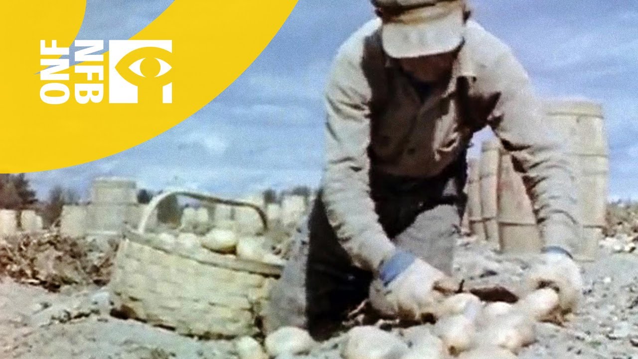 Harvest in the Valley