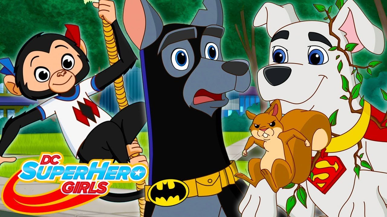 Superanimali delle DC Super Hero Girls! | DC Super Hero Girls Italia