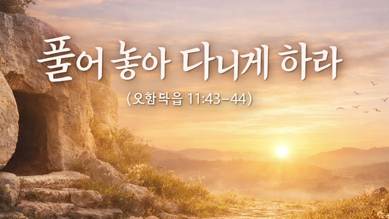 풀어놓아 다니게 하라