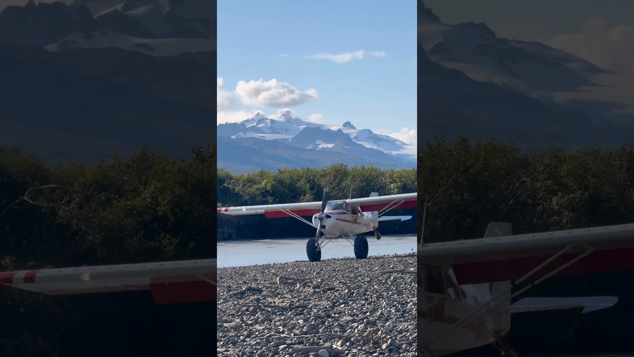 Alaska maule m6| playing on some gravel bars.  #bushwheels #alaska #stol #maule #supercub