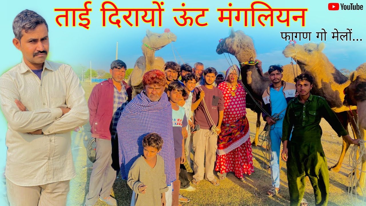 ताई दिरायों ऊंट मंगलियन हरियाणवी पारिवारिक नाटक टीम धाकड़ ताई @dhakadtaigiteam3455 