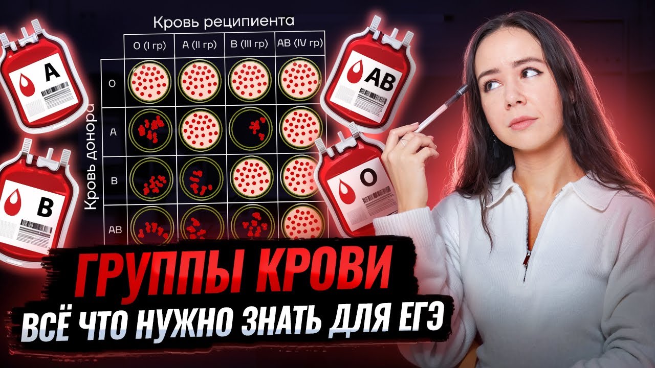 Группы крови для ЕГЭ по биологии С НУЛЯ | Биология ЕГЭ | Умскул