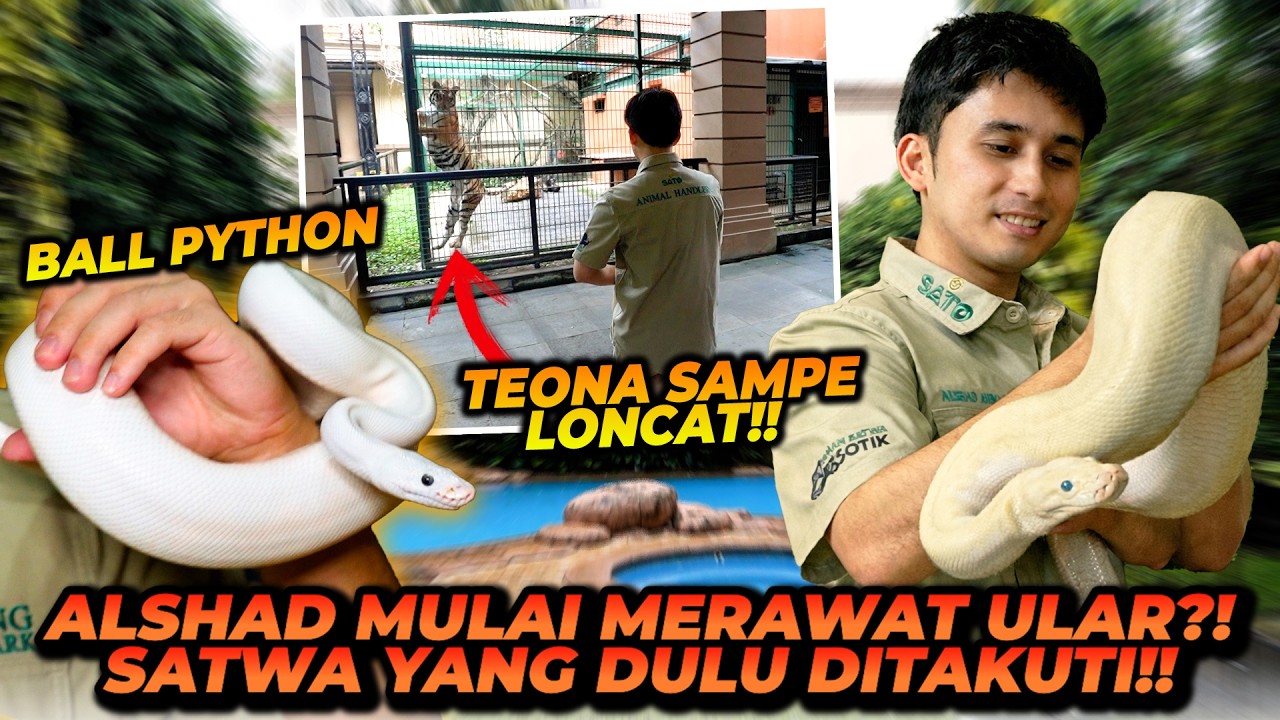 ALSHAD MULAI TERTARIK DENGAN ULAR?! KALAU MELIHARA ULAR DIRUMAH PASTI DI USIR IBU!