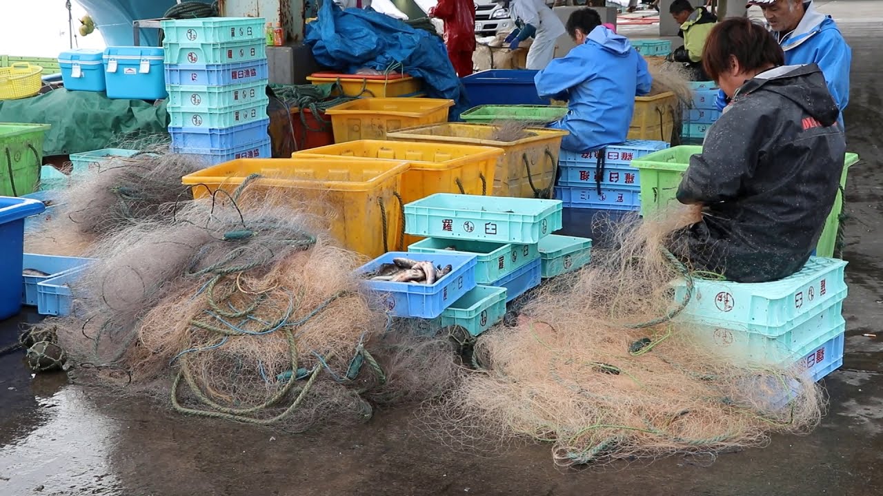 Rausu Fishing Port🐟羅臼漁港