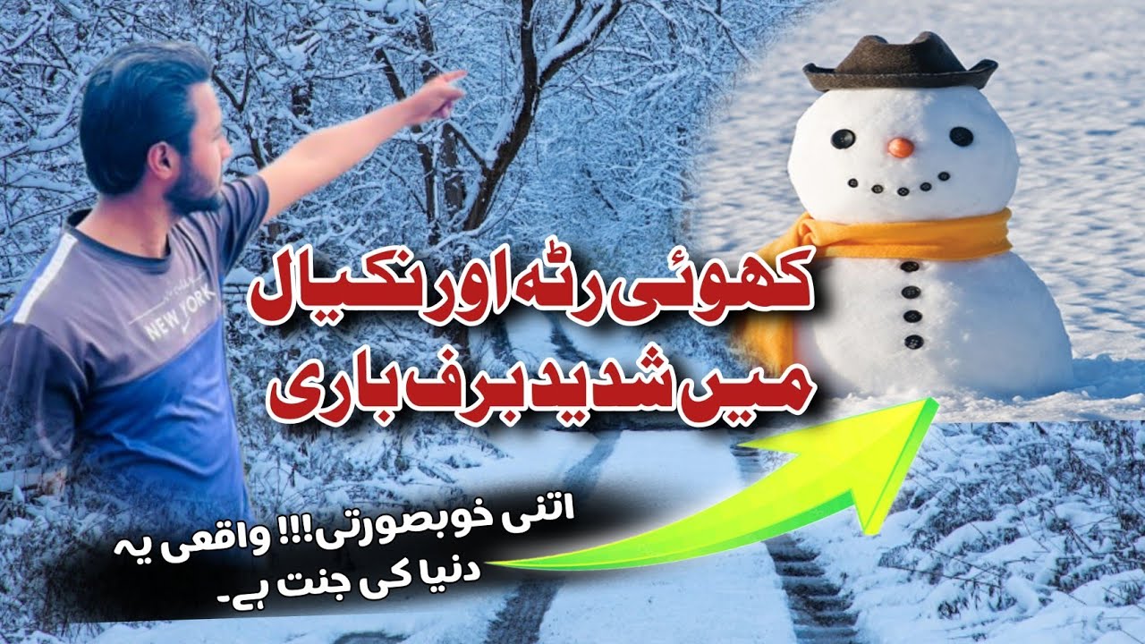 Heavy snow fall in Kashmir ⛈️❄️ / #foryou #dailykashmir #viral 