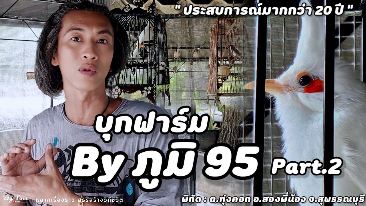 บุกฟาร์ม | นกกรงหัวจุก
