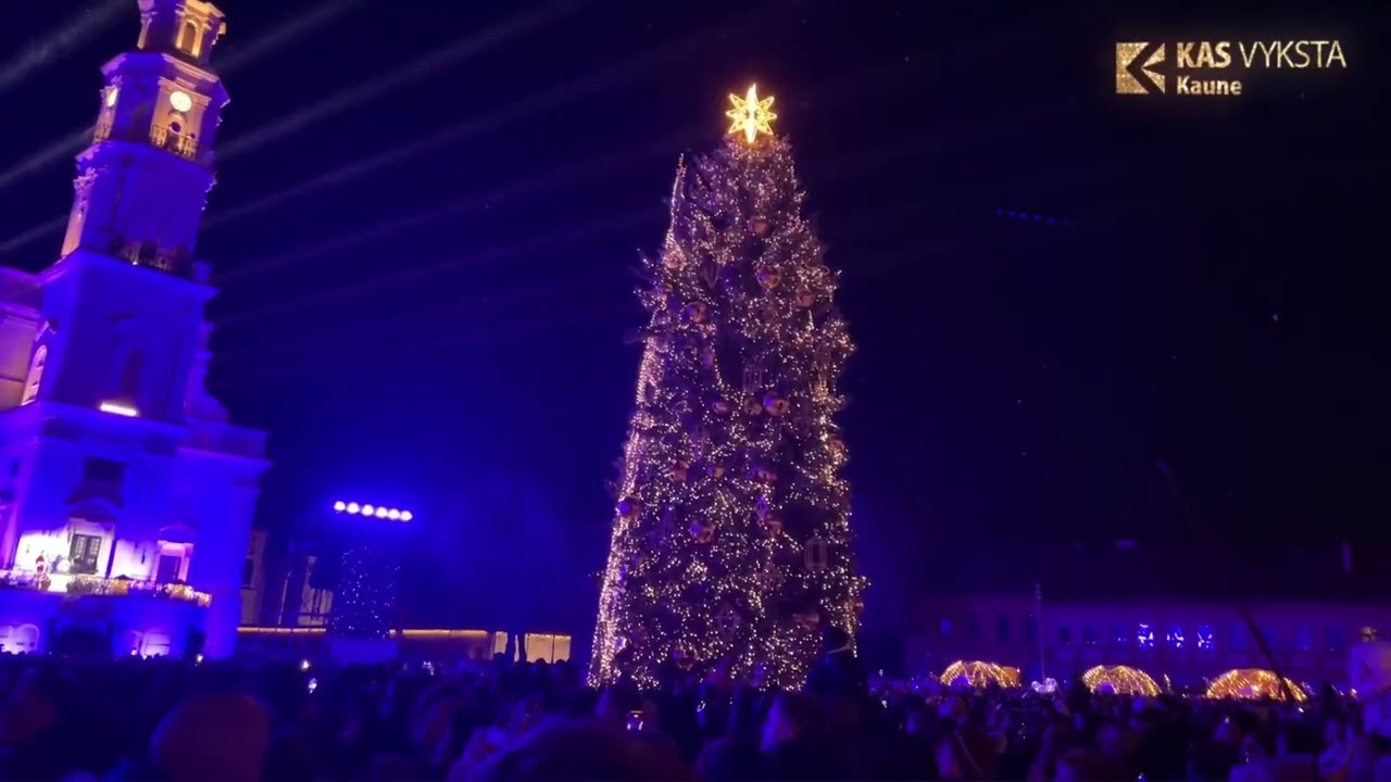 Kauno eglutės įžiebimo momentas Rotu&scaron;ės aik&scaron;tėje tiesiogiai