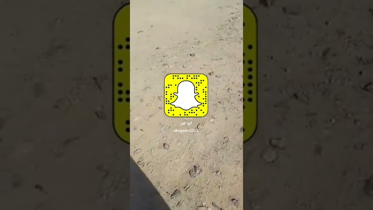 العنايه بمواليد الاغنام من البدايه للنهايه