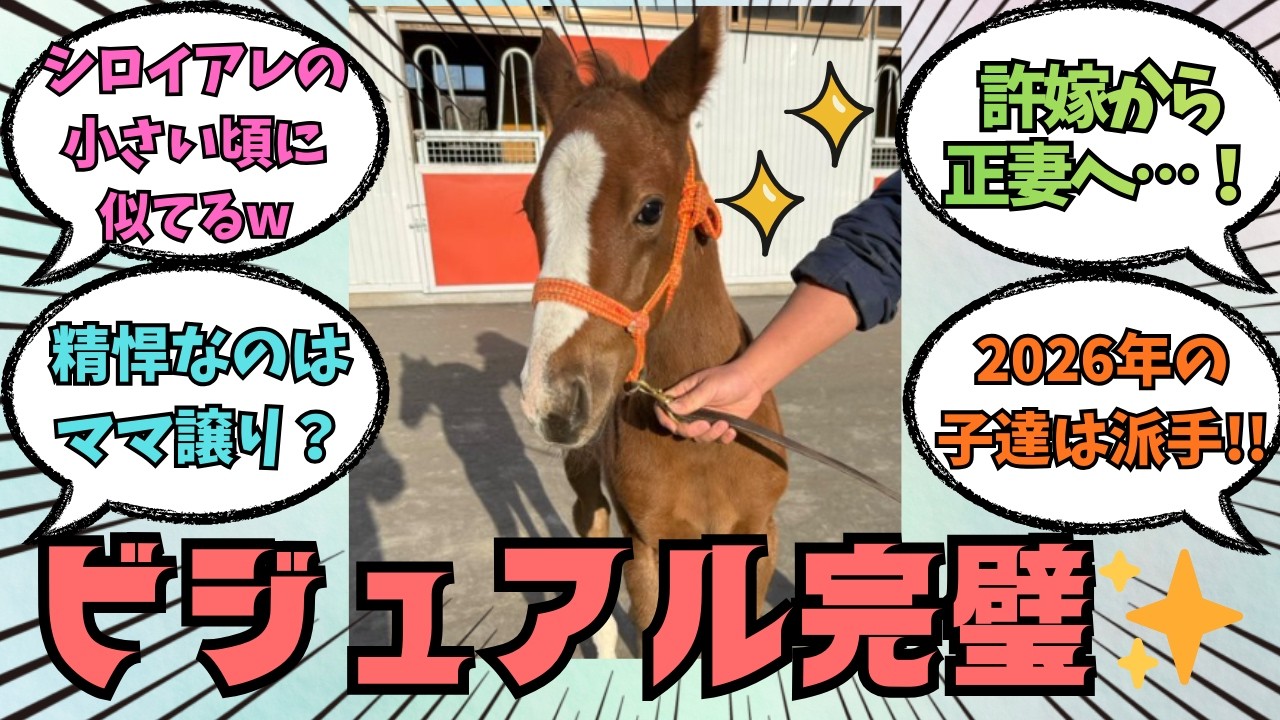 ★1万回突破★【ロータスランドの2026】シロイアレの娘・美少女すぎる！毛色はまさかの〇〇！？に対する競馬好きの反応【競馬の反応集】