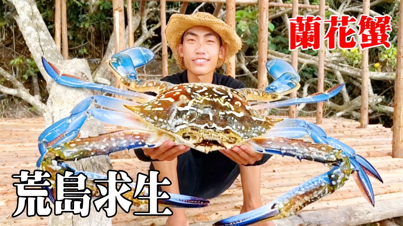 帶50個粉絲郵寄神秘包裹荒島求生！趕海撿到巨型蘭花蟹，拆快遞求助太嚇人了！ 【探索兄弟】