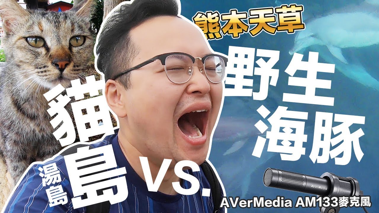 貓島VS.野生海豚？熊本天草【湯島玩貓・日本賞海豚】九州之旅ft.AverMedia AM133麥克風《阿倫去旅行》