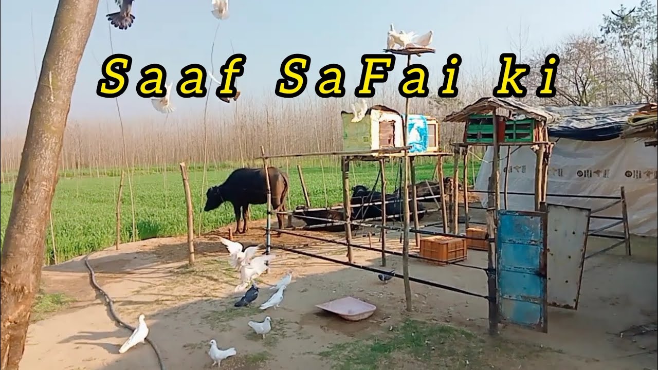 Aaj Setup Ki Saaf Safai Kar Di🙂