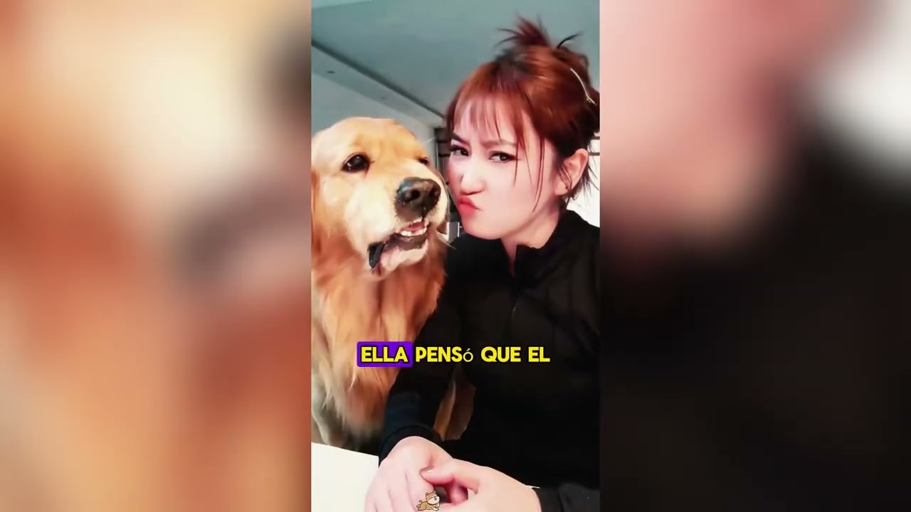 Este gato acaba de aprender a bajar las escaleras.#funnyshorts #pets #cute #love 