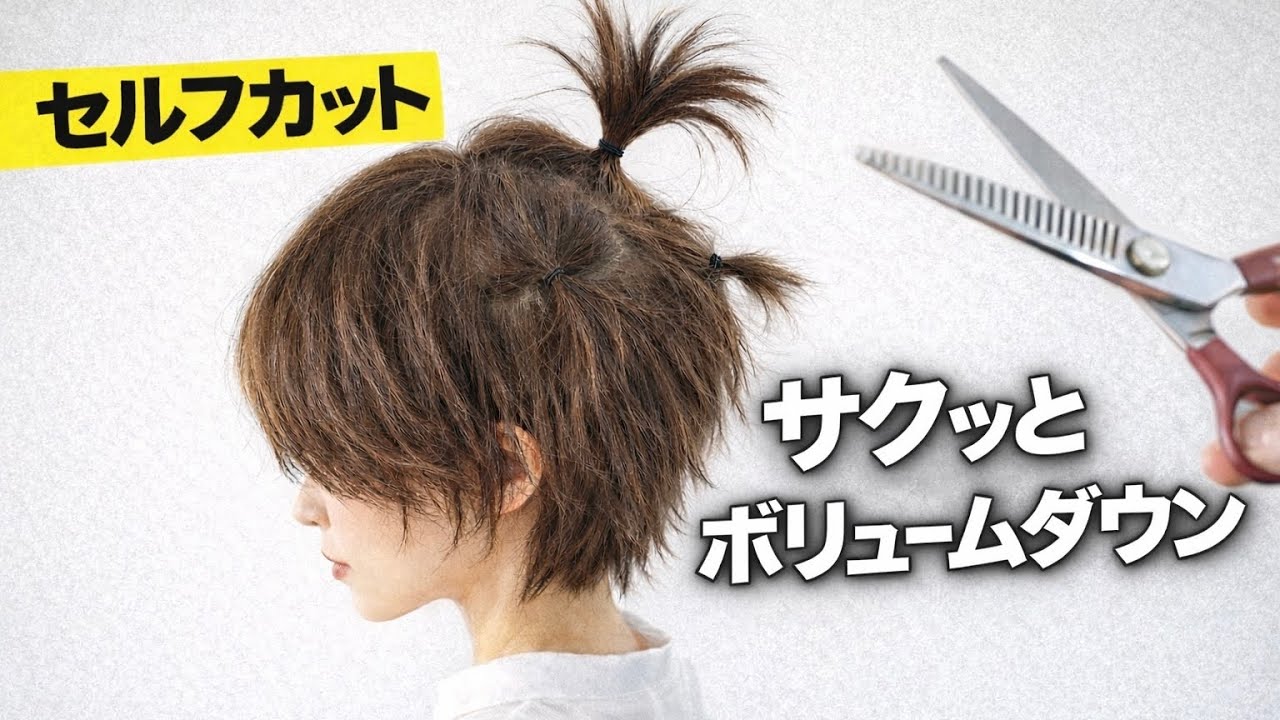 モサモサ短めショートを簡単ボリュームダウン【セルフカット】