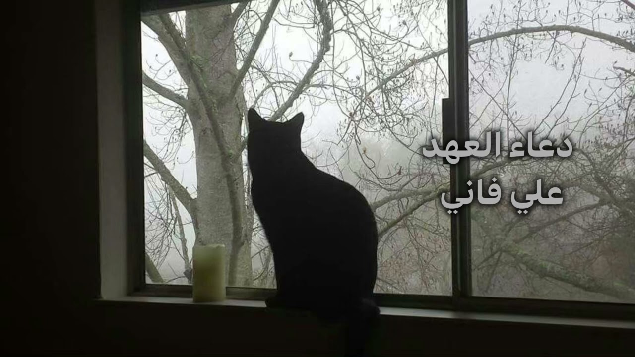 دعاء العهد علي فاني 🙏🏻🕊️