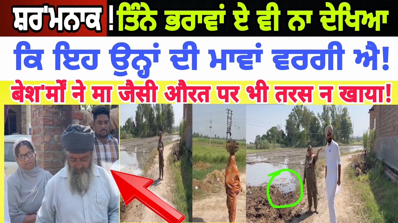Manukhta di sewa ਦੇਖੋ ਤਿੰਨਾ ਭਰਾਵਾਂ ਨੇ ਇਹ ਵੀ ਨਹੀਂ ਸੋਚਿਆ ਕਿ ਇਹ ਸਾਡੀ ਮਾਵਾਂ ਵਰਗੀ ਏ - spmediapunjab