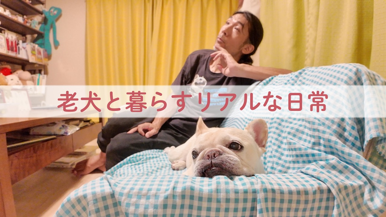 ［密着］老犬フレンチブルドッグと暮らす夫婦の1週間