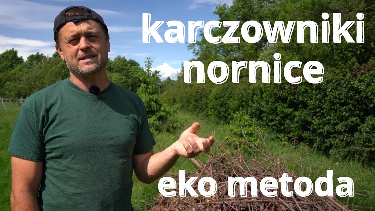 Nornice i karczowniki w ogrodzie | naturalne metody walki z gryzoniami