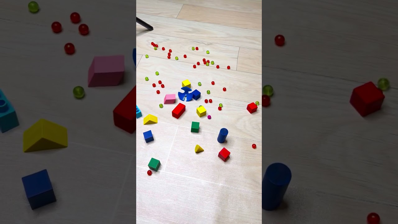 Cat Barsik🌈Reverse video 