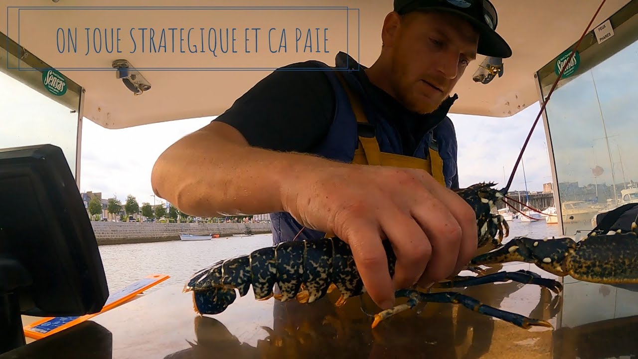 Saison 2025 / CHOSE PROMISE CHOSE DUE (on joue stratégique et ça paie !) 🦞🐟