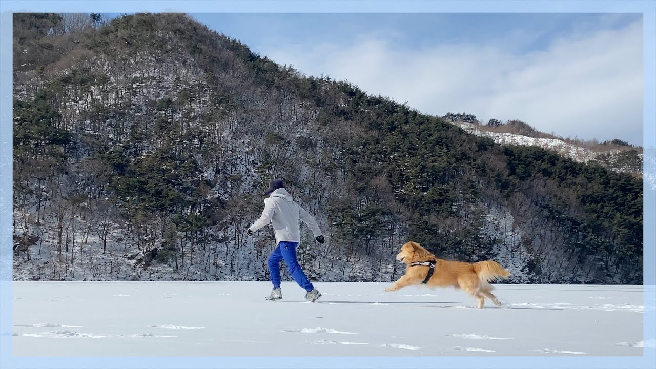 등산 거부하고 내려와서 인생장소 찾은 리트리버