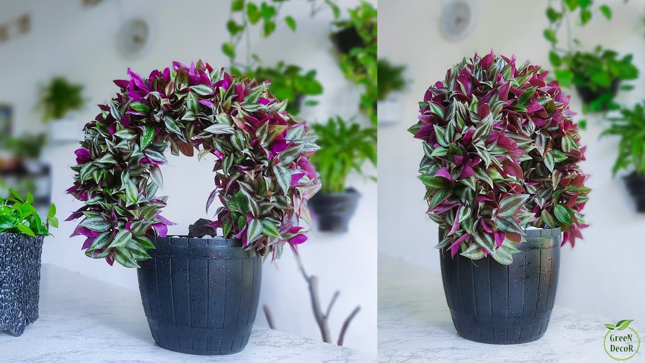 Greening Your Space: Designing Your Own Tabletop Indoor Garden for Every Space//GREEN DECOR