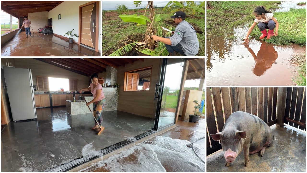 DIA DE LAVAR AS VARANDAS/COZINHA| REPLANTAMOS AS MELANCIAS + PODA NAS BANANEIRAS| Dia a Dia na roça 
