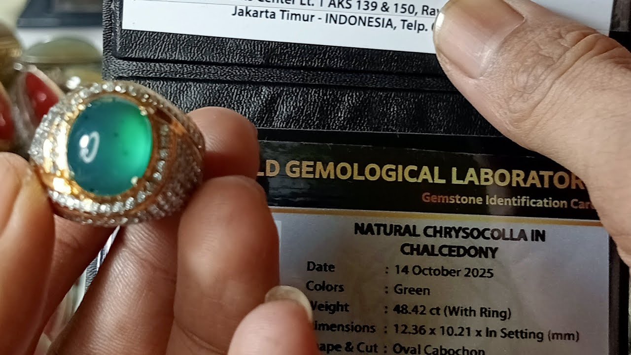 LIVE LELANG OR FLASH DEAL BATU BACAN DAN PANDAN BEKASI, YUK GASKEUN