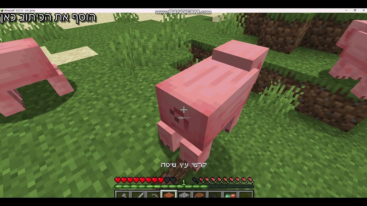 כך מתחילים הישרדות במיינקראפט פרק 1⛏️🧱