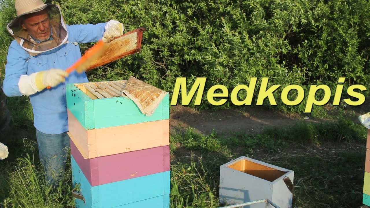 MEDKOPIS