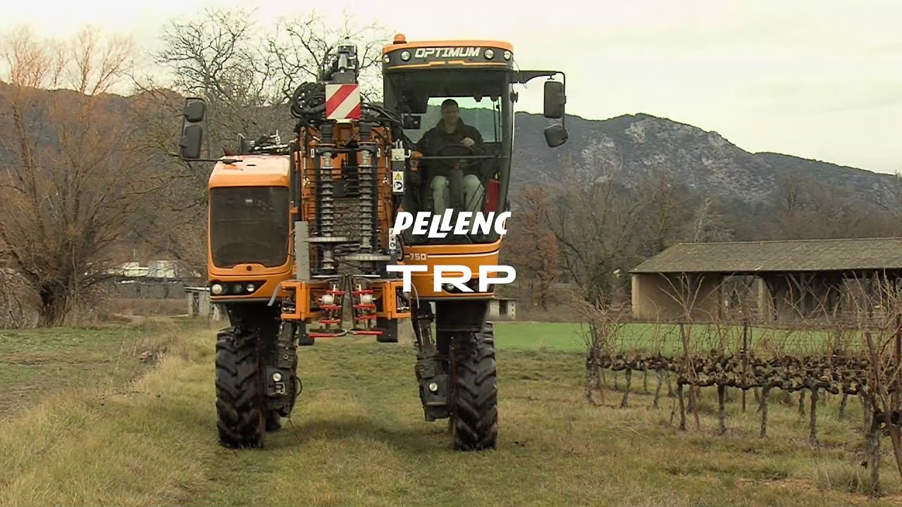 Taille rase de précision TRP OPTIMUM | PELLENC