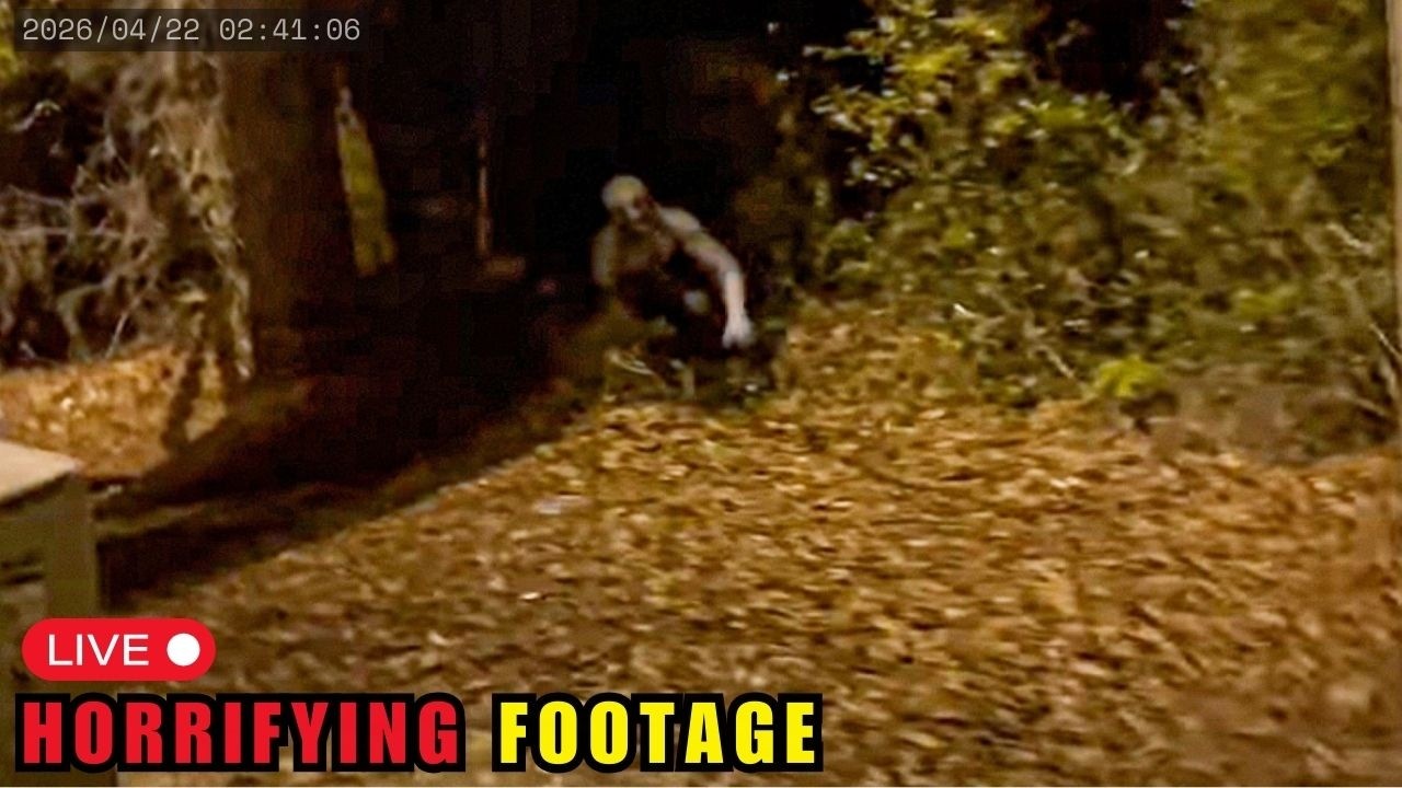 100 Most TERRIFYING Forest Creature Encounters CAUGHT on Camera