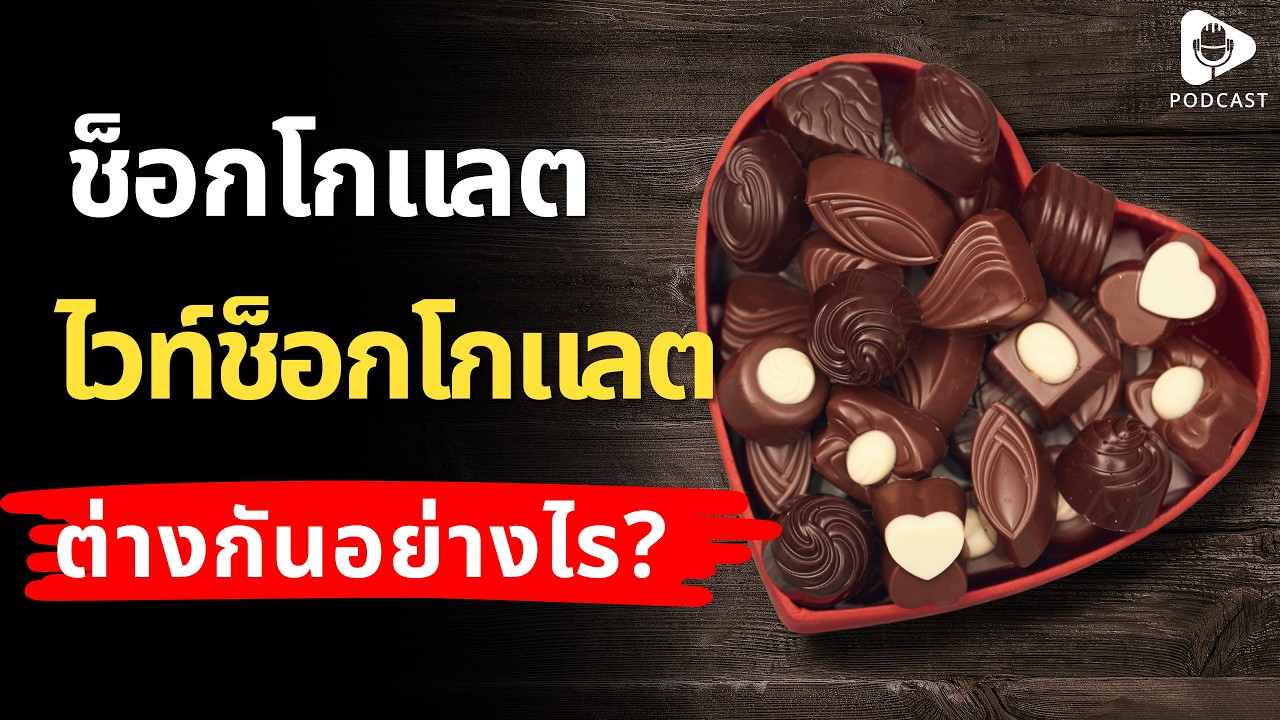 ไขข้อสงสัย ช็อกโกแลต vs ไวท์ช็อกโกแลต แตกต่างกันอย่างไร? | เรื่อง (ไม่) รู้รอบตัว