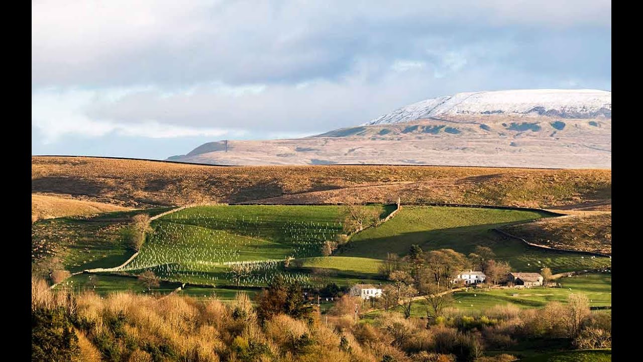 Creating Woodland: We wanted to create a lasting legacy