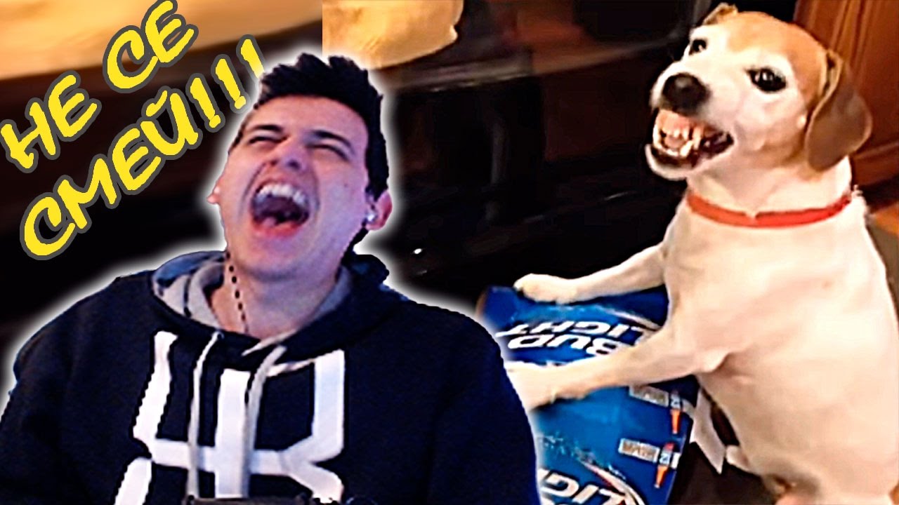 Try Not To Laugh Challenge - НЕ СЕ СМЕЙ #3