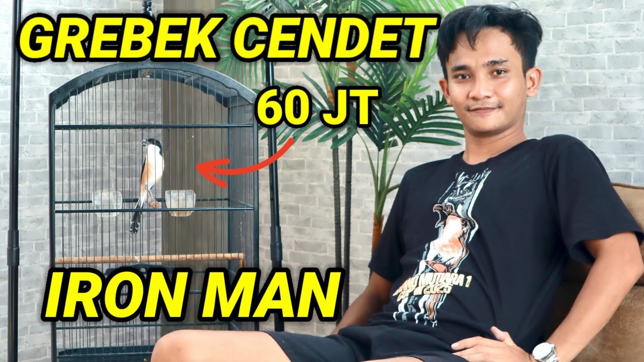 IRON MAN, CENDET 60 JT WOW😱😱INI DIA RAHASIA SETINGANNYA❗